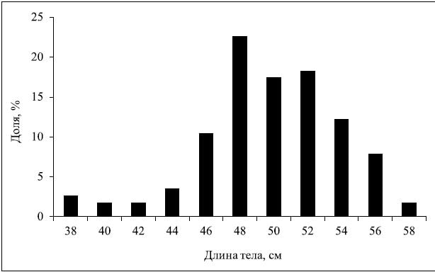 Частота встречаемости (%) амурской симы по длине тела (см). Река Бешеная, 1939 г. N = 115