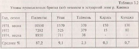 Уловы промысловых бригал (кг) невролом в эстуарной зоне р. Киевка