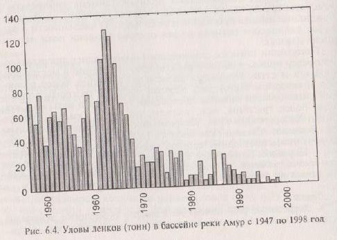 Уловы ленков (тонн) в бассейне реки Амур с 1947 по 1998 год
