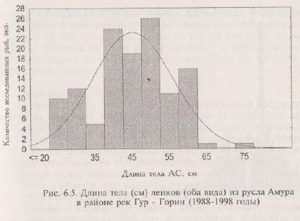 Длина тела (см) ленков (оба вида) из русла Амура в районе рек Гур - Горин (1988-1998 годы)